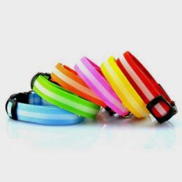 Pet Dog Collar: Led Safety Light-up Flashing Glow	 06-1206 cattree-factory.com