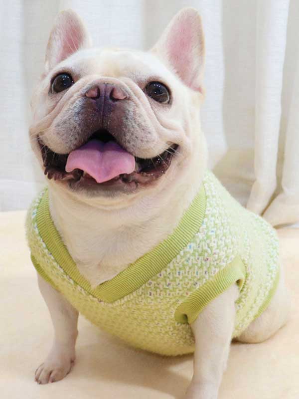 GMTPET Thickened autumn and winter fat dog short body bulldog pug dog lady plush rich rich French fighting clothes v-neck vest vest 107-222012 cattree-factory.com