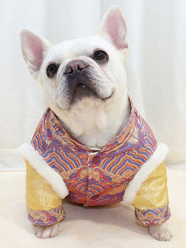 GMTPET French fighting Chinese New Year’s clothing New Year’s clothing Tang suit Chinese style fat dog bulldog dog clothes thickened rabbit fur jacket cotton coat 107-222013 cattree-factory.com
