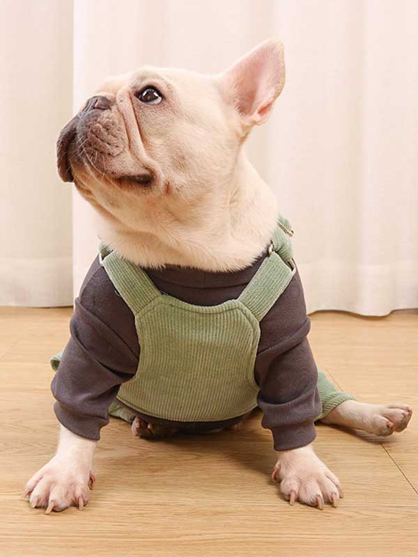 GMTPET French fighting clothes high elastic comfortable solid color plus velvet thick bottoming shirt T-shirt bulldog dog clothes 107-222016 cattree-factory.com