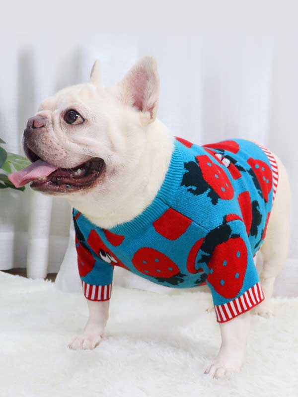 New autumn and winter dog clothes bulldog sweater strawberry cartoon short body fat dog method fighting autumn sweater 107-222041 cattree-factory.com