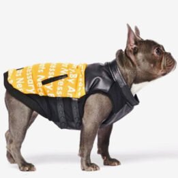 Pet Dog Clothes Vest Padded Dog Jacket Cotton Clothing for Winter cattree-factory.com