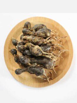 OEM & ODM Pet food freeze-dried Quail for dog and cat 130-072 cattree-factory.com